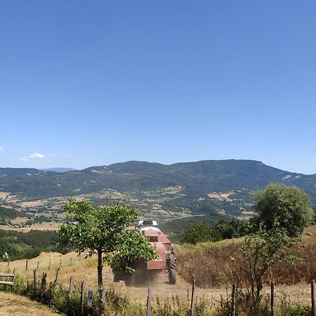 Agriturismo Al Monte 圣皮耶罗-因巴尼奥 外观 照片