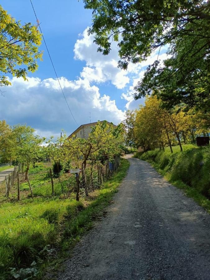 Agriturismo Al Monte 圣皮耶罗-因巴尼奥 外观 照片