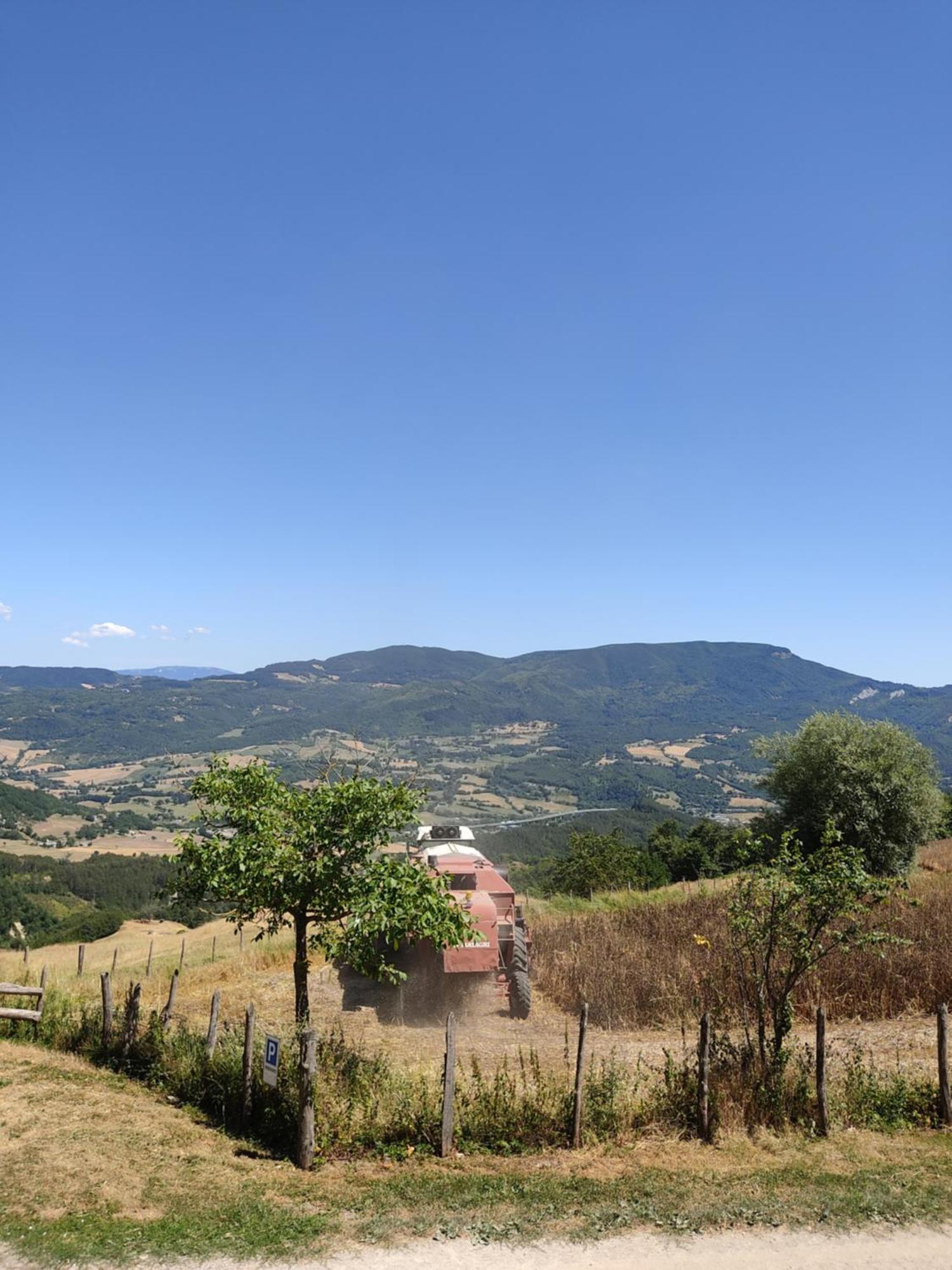 Agriturismo Al Monte 圣皮耶罗-因巴尼奥 外观 照片