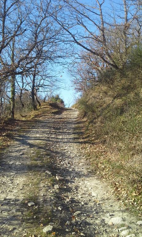 Agriturismo Al Monte 圣皮耶罗-因巴尼奥 外观 照片