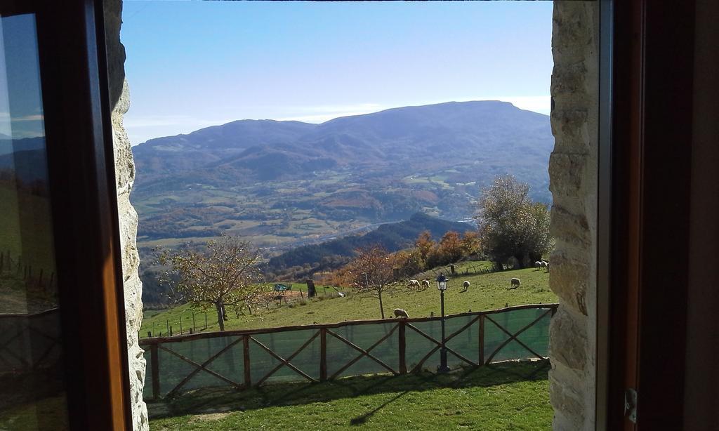 Agriturismo Al Monte 圣皮耶罗-因巴尼奥 外观 照片