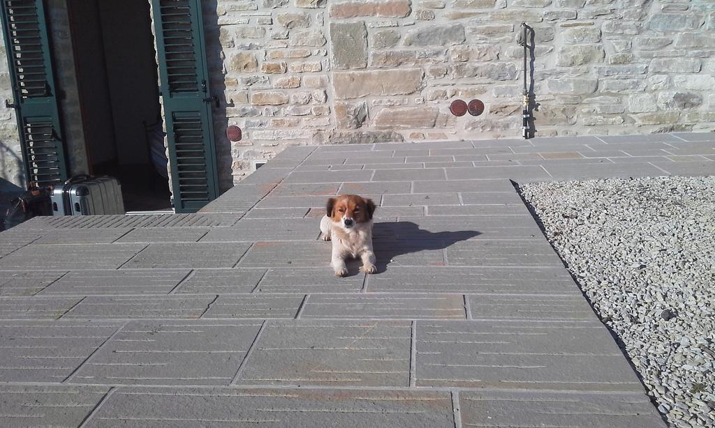 Agriturismo Al Monte 圣皮耶罗-因巴尼奥 外观 照片