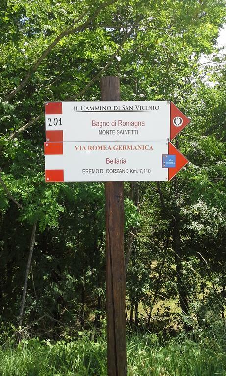 Agriturismo Al Monte 圣皮耶罗-因巴尼奥 外观 照片